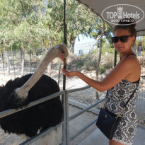 фото из отзыва ID 1926968