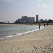 фото из отзыва ID 1927045