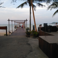 фото из отзыва ID 1927129