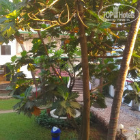 фото из отзыва ID 1927155