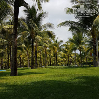 фото из отзыва ID 1927130