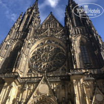 фото из отзыва ID 1927259