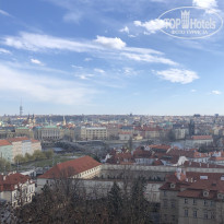 фото из отзыва ID 1927259