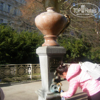 фото из отзыва ID 1927280