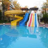 фото из отзыва ID 1927237