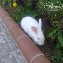 фото из отзыва ID 1927489