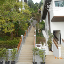 фото из отзыва ID 1926412