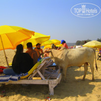 фото из отзыва ID 1927604