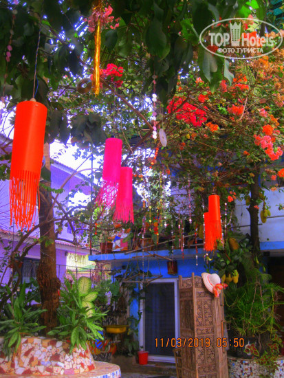 Hotel photo Indian Kitchen 