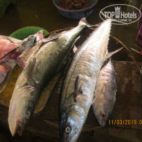 фото из отзыва ID 1927604