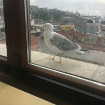 фото из отзыва ID 1927623