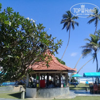 фото из отзыва ID 1927612