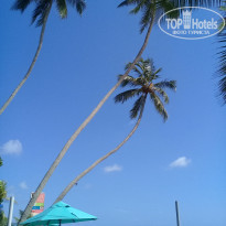 фото из отзыва ID 1927612