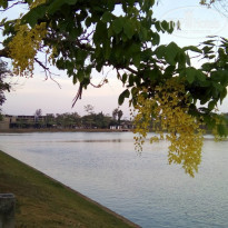 фото из отзыва ID 1927665