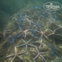 фото из отзыва ID 1927665