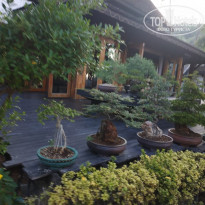 фото из отзыва ID 1927725