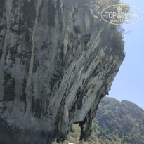 фото из отзыва ID 1927725