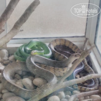 фото из отзыва ID 1927725