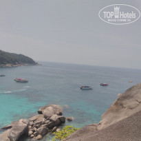 фото из отзыва ID 1927725