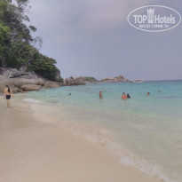 фото из отзыва ID 1927725