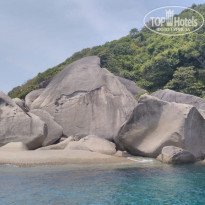 фото из отзыва ID 1927725