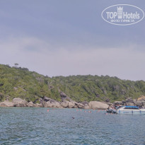 фото из отзыва ID 1927725