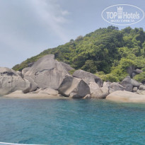 фото из отзыва ID 1927725