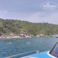 фото из отзыва ID 1927725