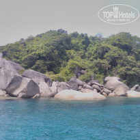 фото из отзыва ID 1927725