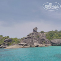 фото из отзыва ID 1927725