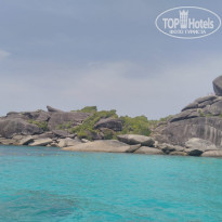 фото из отзыва ID 1927725