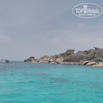 фото из отзыва ID 1927725