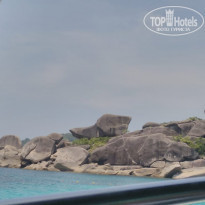 фото из отзыва ID 1927725