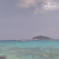 фото из отзыва ID 1927725