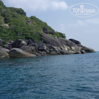 фото из отзыва ID 1927725