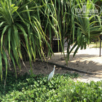 фото из отзыва ID 1927730