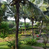 фото из отзыва ID 1927865