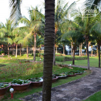 фото из отзыва ID 1927865