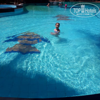 фото из отзыва ID 1922574