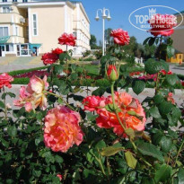 фото из отзыва ID 1928006