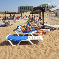 фото из отзыва ID 1928006