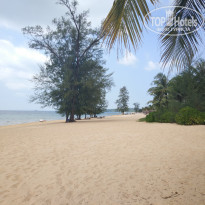 фото из отзыва ID 1927701