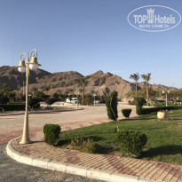 фото из отзыва ID 1928119