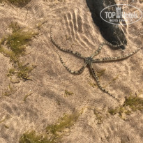 фото из отзыва ID 1928119