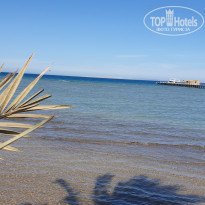 фото из отзыва ID 1928004