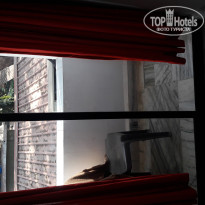 фото из отзыва ID 1928316