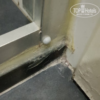 фото из отзыва ID 1928508