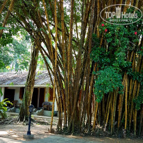 фото из отзыва ID 1928644