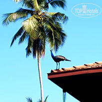 фото из отзыва ID 1928644