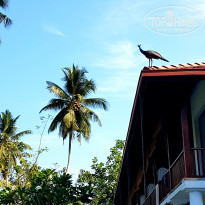 фото из отзыва ID 1928644